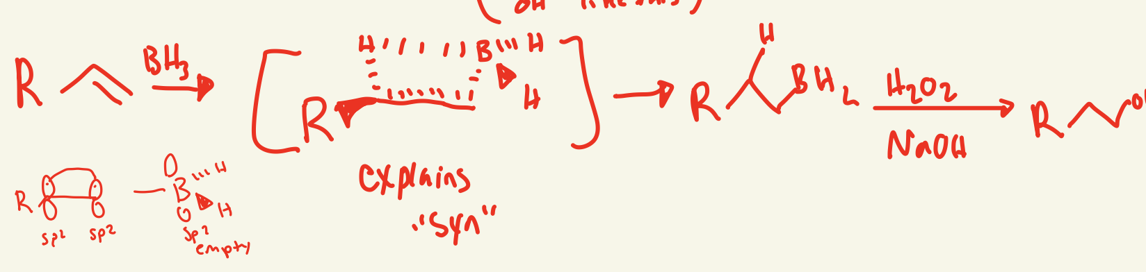 <p>BH3 on less substituted carbon and then one H attaches to the more substituted carbon and then BH2 on less substituted side interacts with H2O2 and NaOH and OH replaces the BH2 </p>