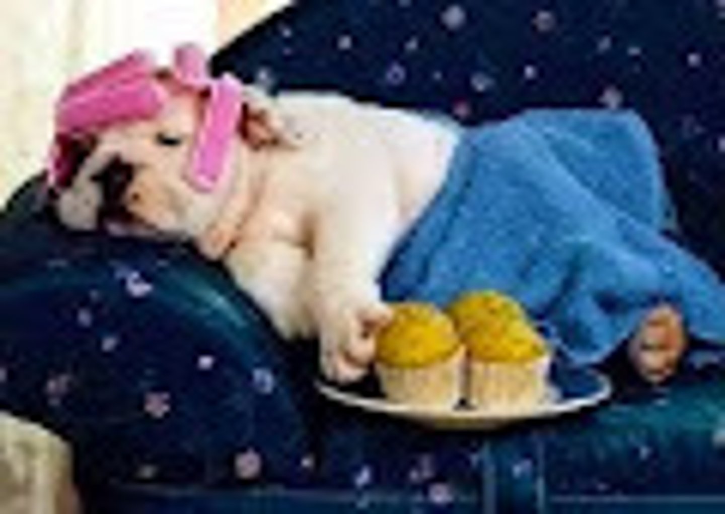 <p>Spoiled</p>