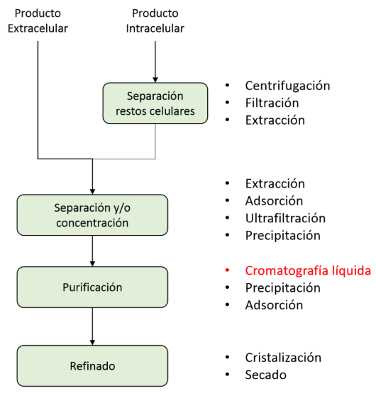 <ul><li><p>Purificación</p></li></ul><p></p>