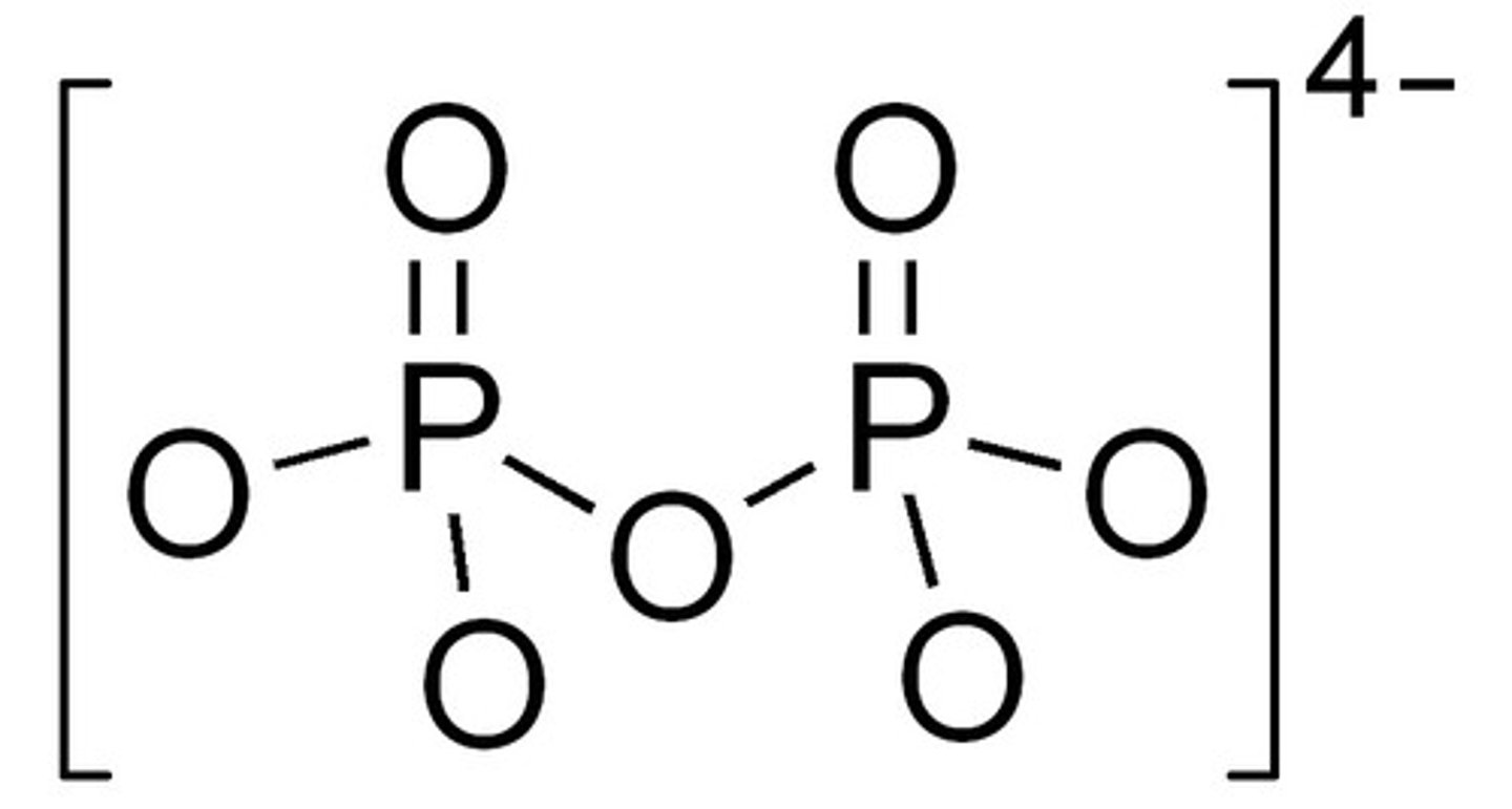 <p>byproduct of DNA synthesis which hydrolyze to form 2 Pi; makes the reaction irreversible</p>