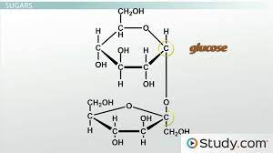 <p>A sugar (monosaccharide) or one of its dimers (disaccharides) or polymers (polysaccharides). </p>