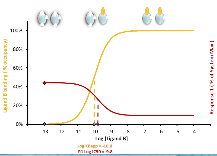 <p><strong>If RB has lower __________than that of the free receptor</strong></p>