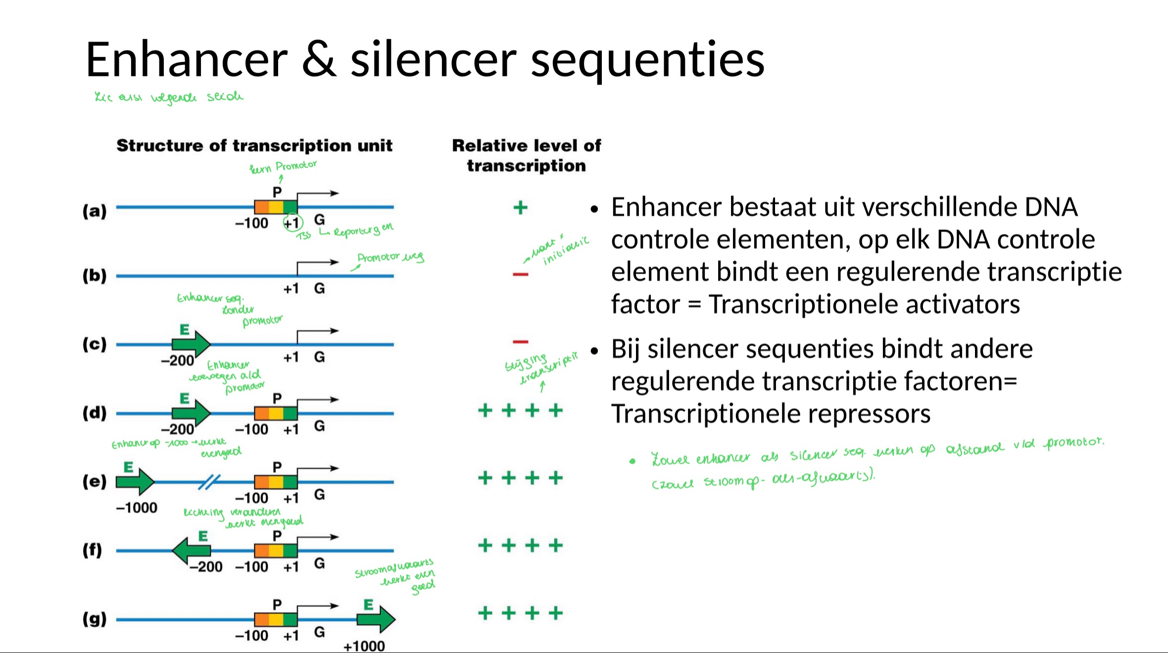 <p>binden op insulator seq en verhinderen dat de activatoren en repressoren nog actief zijn voorbij een zeker punt</p>