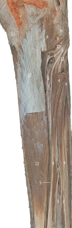 <p>3</p>