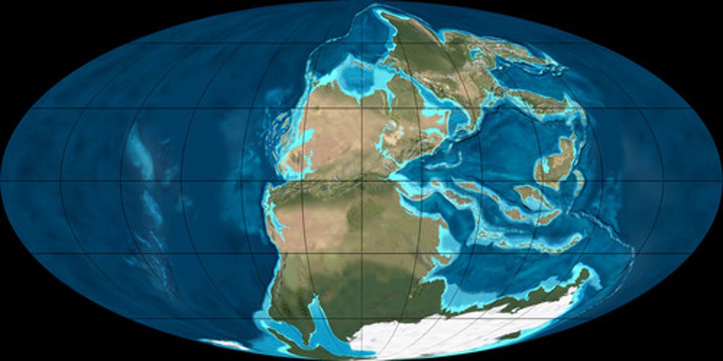 <p>mountain-building event caused by late Palaeozoic collision between Euramerica and Gondwana to form Pangea; created Variscan Mountains in Europe ~380 - 280 mya</p>