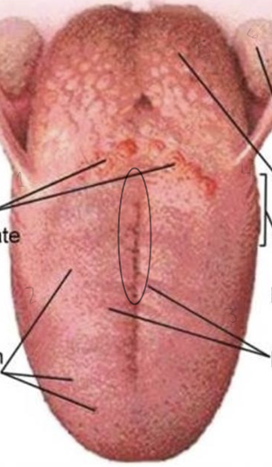 <p>What is at each number and in the circle</p>