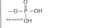 <p>ex. Genetic Material of DNA- EN 1.3 </p>
