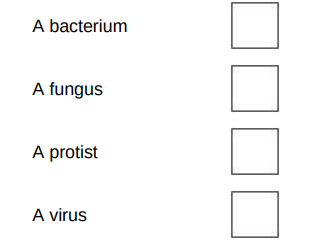 <p>What type of pathogen causes malaria?(1)</p>