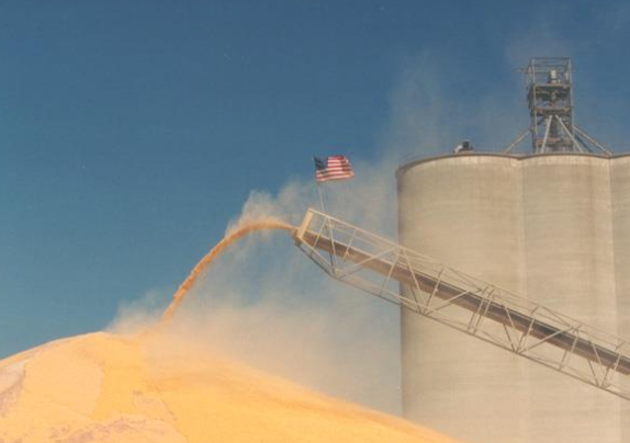 <p><u>did not take a representative sample of feed</u>, or</p><p>feed containing alfatoxin <u>already consumed/gone</u> by time sampling was done</p>