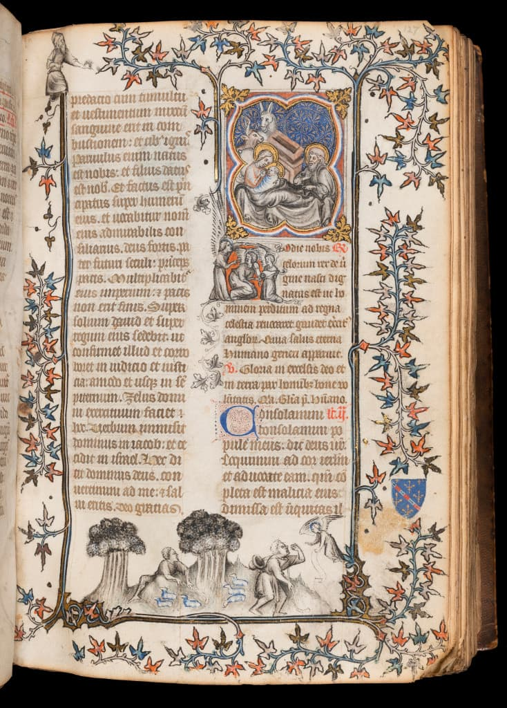 <p><span style="background-color: transparent;"><span>Grisaille</span></span></p>