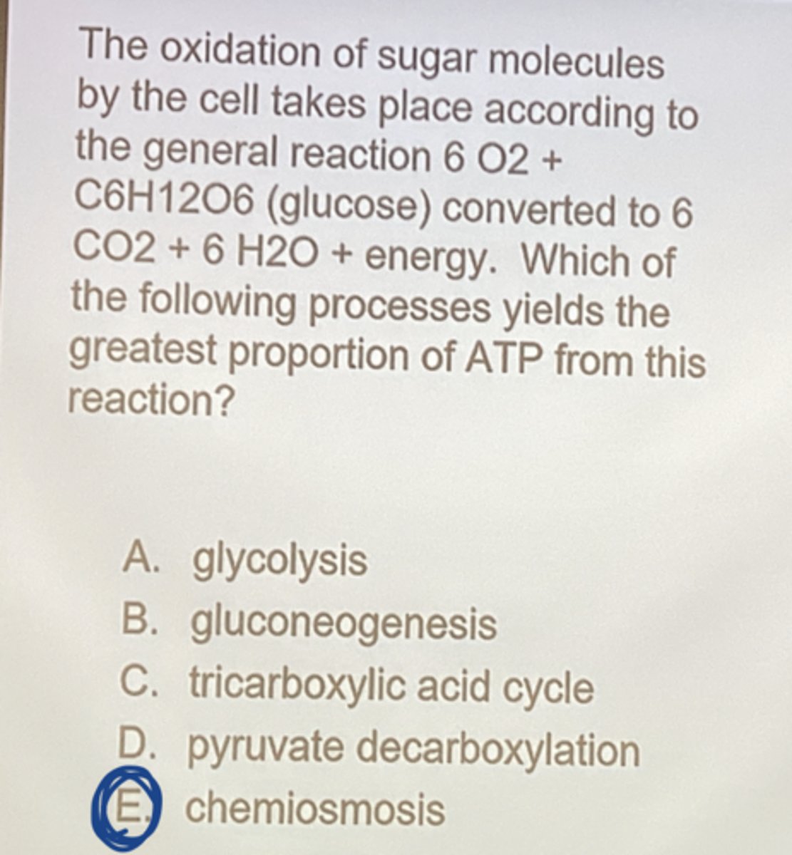 <p>chemiosmosis</p>