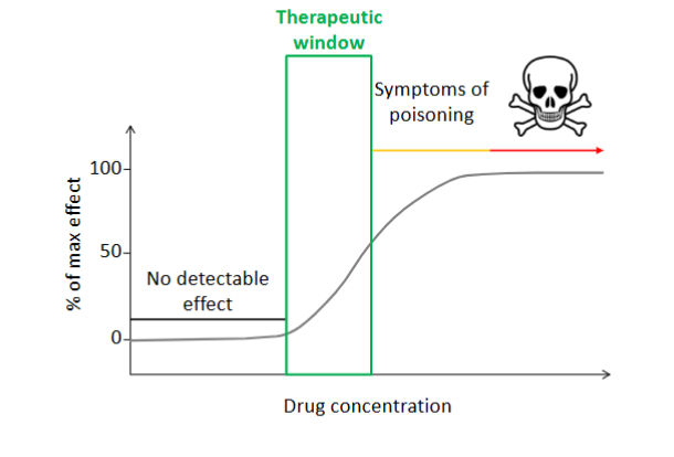 <p>therapeutic window</p>