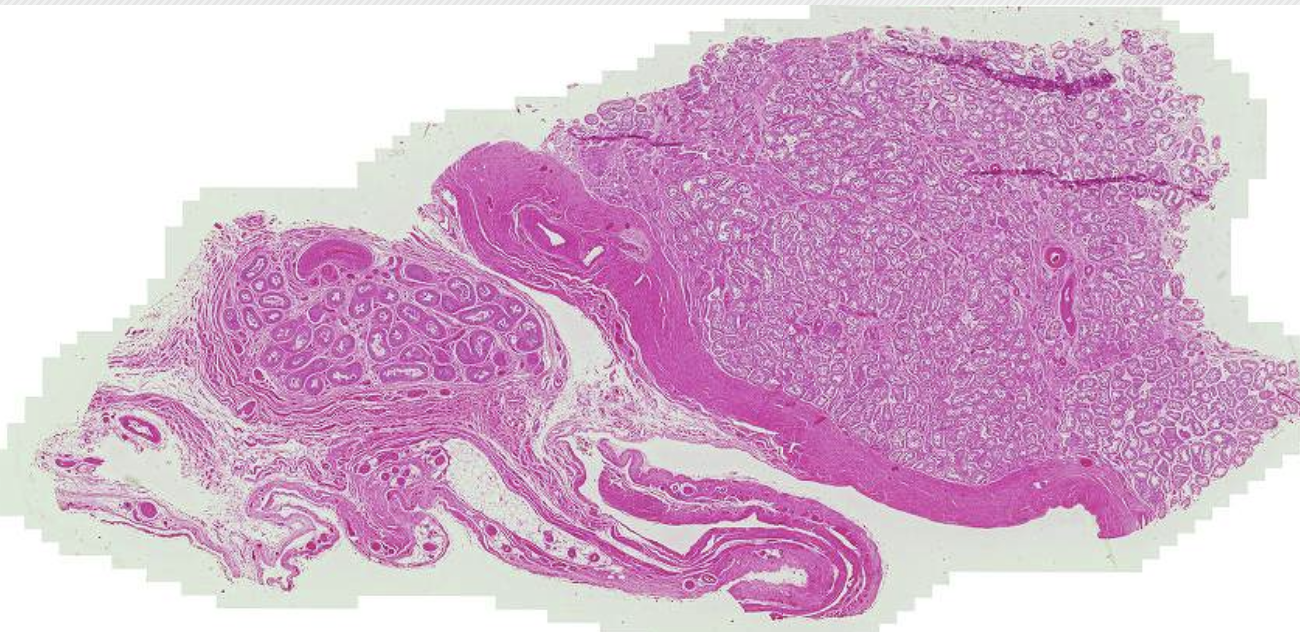 <p>What is this?</p>