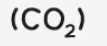 <p><strong>test and test result</strong>: turns limewater milky</p>