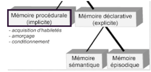 <p>→ forme de mémoire dont les connaissances ont été acquises et sont rappelées sans effort conscient </p><ul><li><p>on ne réfléchit pas à ce qu’on va faire </p></li></ul><p></p>