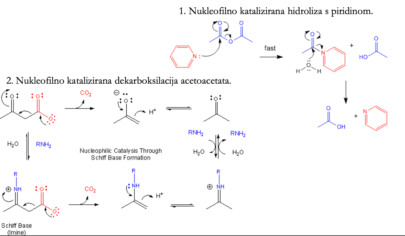 <ul><li><p>ko med katalizatorjem in substratom nastane nestabilen kovalentni intermediat → hitro razpade → pospešek reakcije</p></li><li><p>nukleofilno katalizirana hidroliza s piridinom</p></li><li><p>nukleofilno katalizirana dekarboksilacija acetoacetata</p></li></ul><p></p>