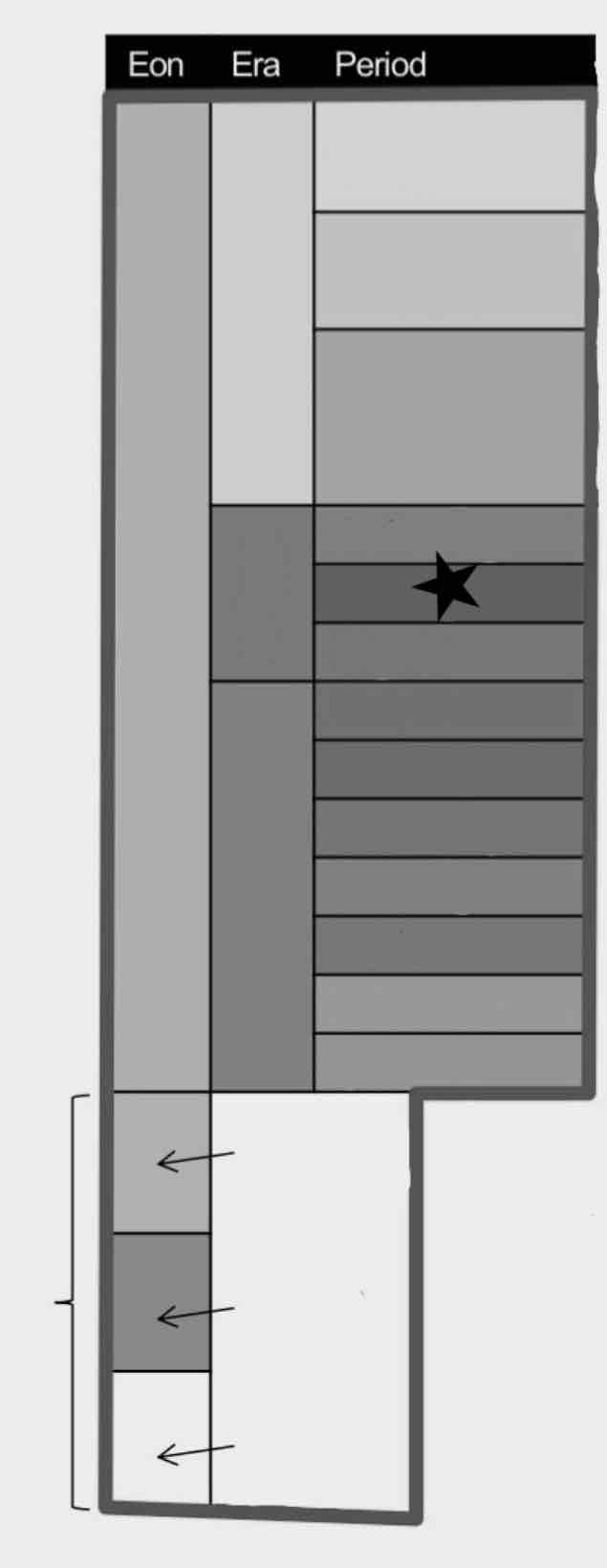 <p>What period is this?</p>