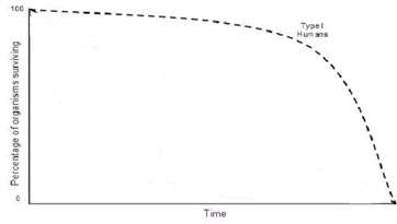 <ul><li><p>you have high survival rates for organisms until later in life</p></li><li><p>ex.~ humans, tortoises, elephants (k-select species)</p></li><li><p>parental care, resource availability, and life-history strategies influence shape</p></li></ul><p></p>