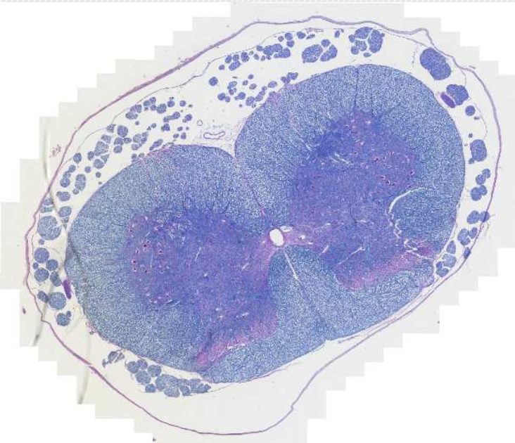 <p>What is this?</p>