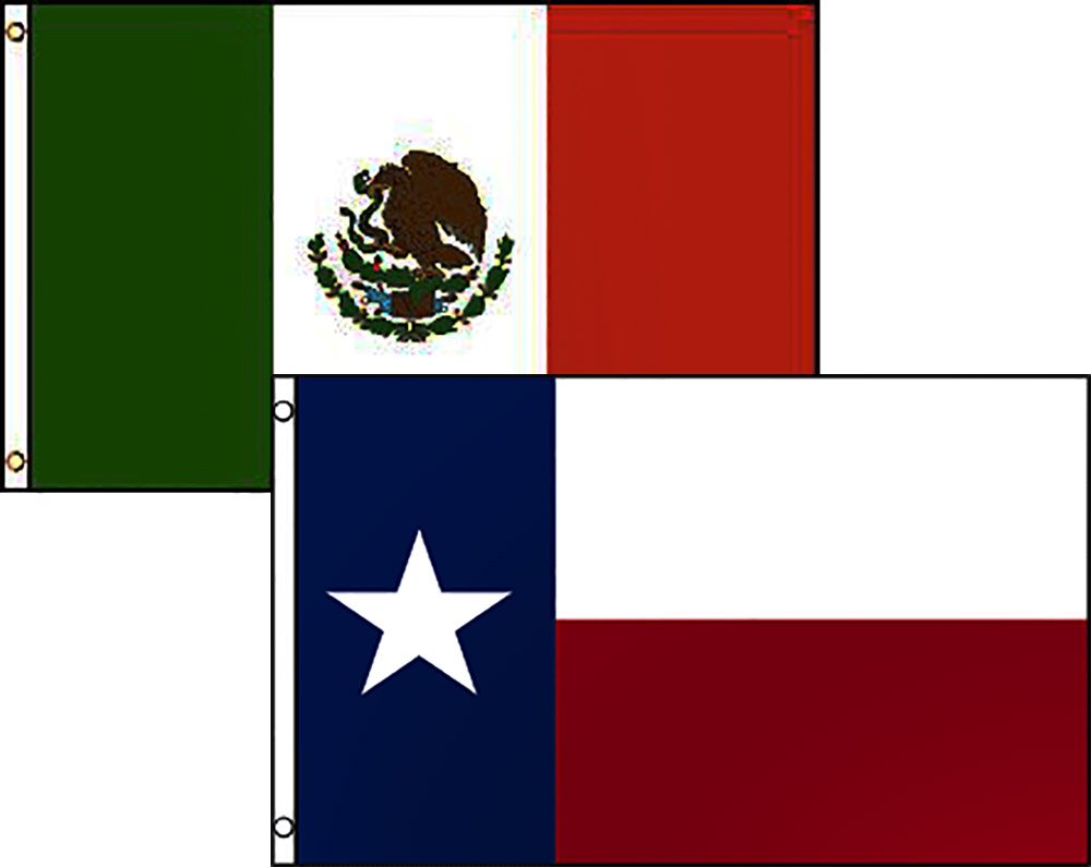 <p>noun. (Spanish for "Texan") a term used to identify a Texan of Criollo Spanish or Mexican heritage.</p>