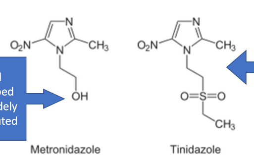 <ul><li><p>tinidazole—&gt; has a SULFUR= gives it a LONGER t 1/2</p></li></ul><p></p>