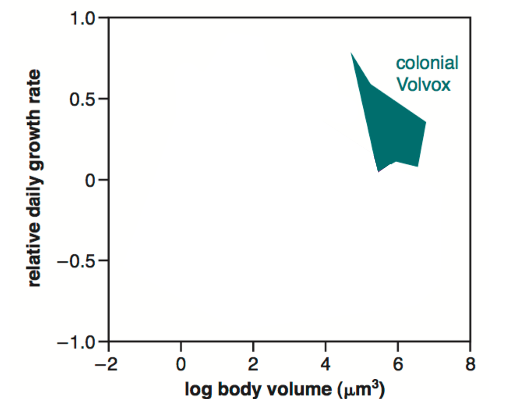 <p>What does this graph prove </p>