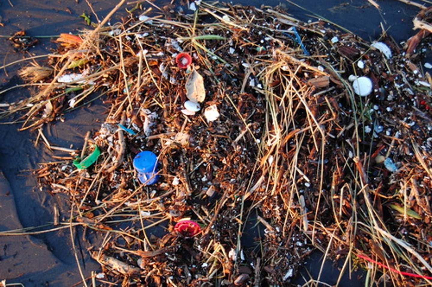 <p>area of the ocean the size of Texas, where mostly plastic pieces are collecting due to currents</p>