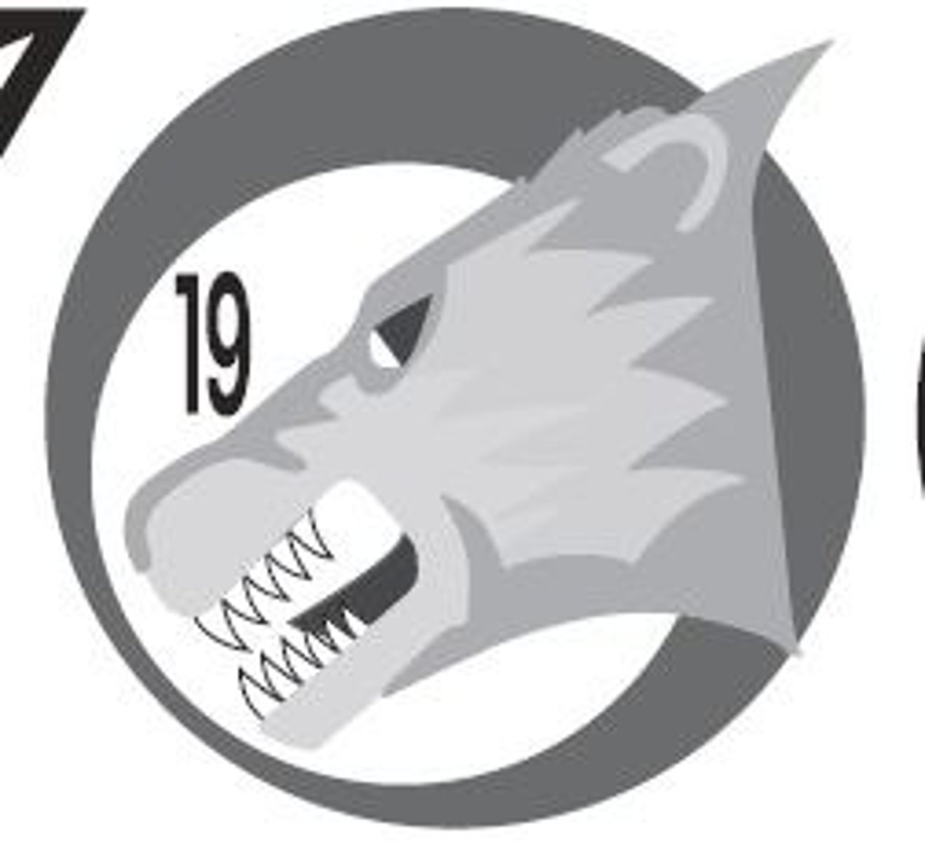 <p>CS-19</p>