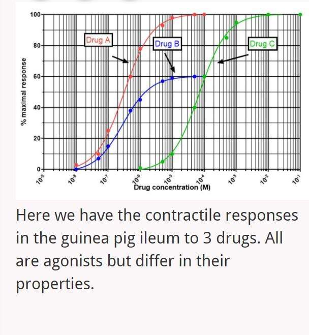 <p>The Emax for Drug B is  ______</p>
