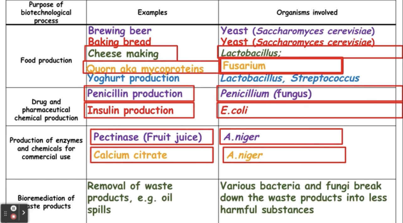 <p>Uses of biotechnology</p>