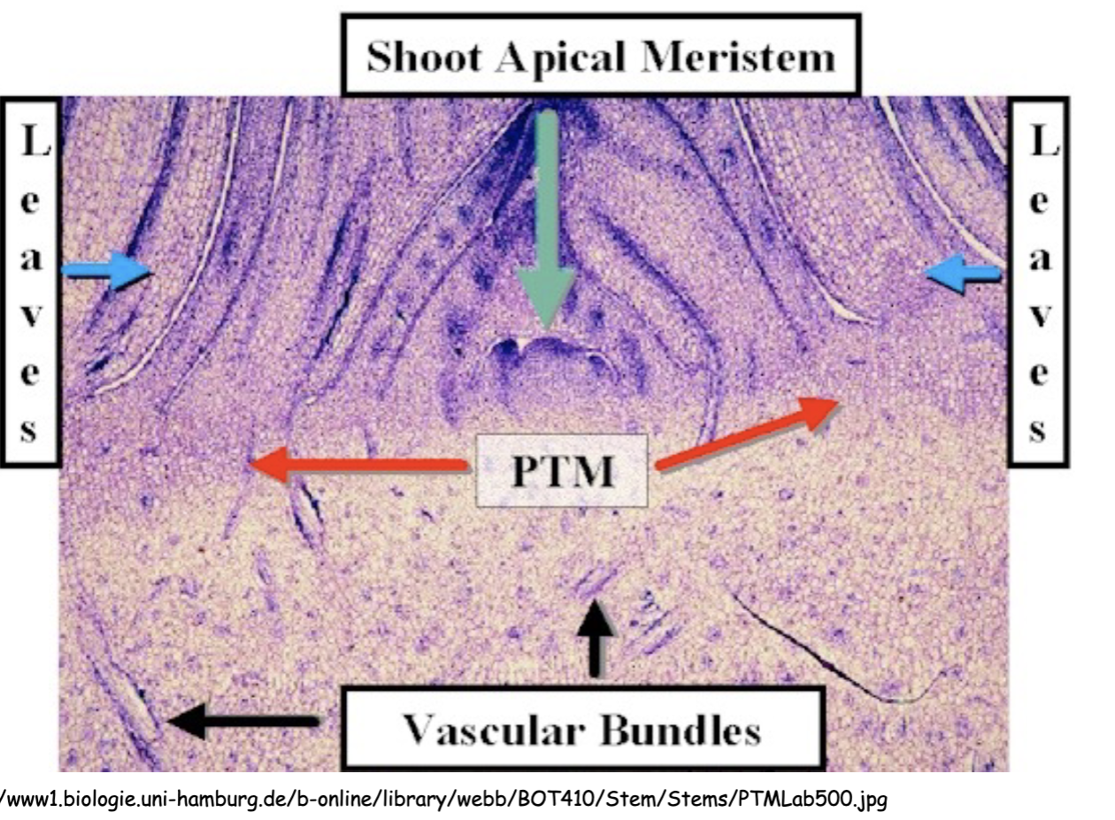 <p>Describe this image</p>