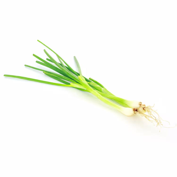 <p>Spring onion (loose)</p>