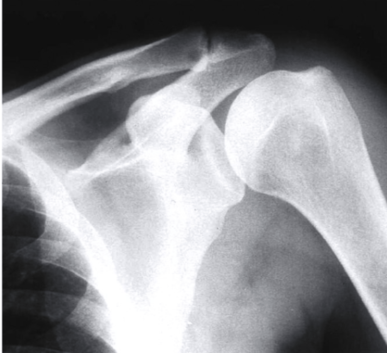 <p>What view is this?</p>