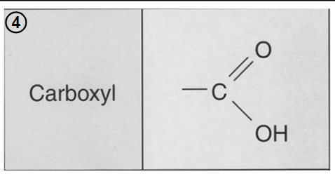 - oxygen atom double-bonded to a carbon atom, that is also bonded to a hydroxyl group.-carboxylic or organic acids, ex. formic and acetic acids.
- acidic properties due to dissociation of H+.