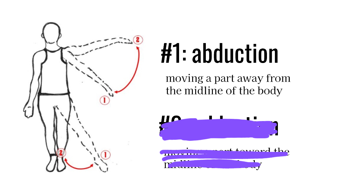 <p>Moving away from the midline</p>