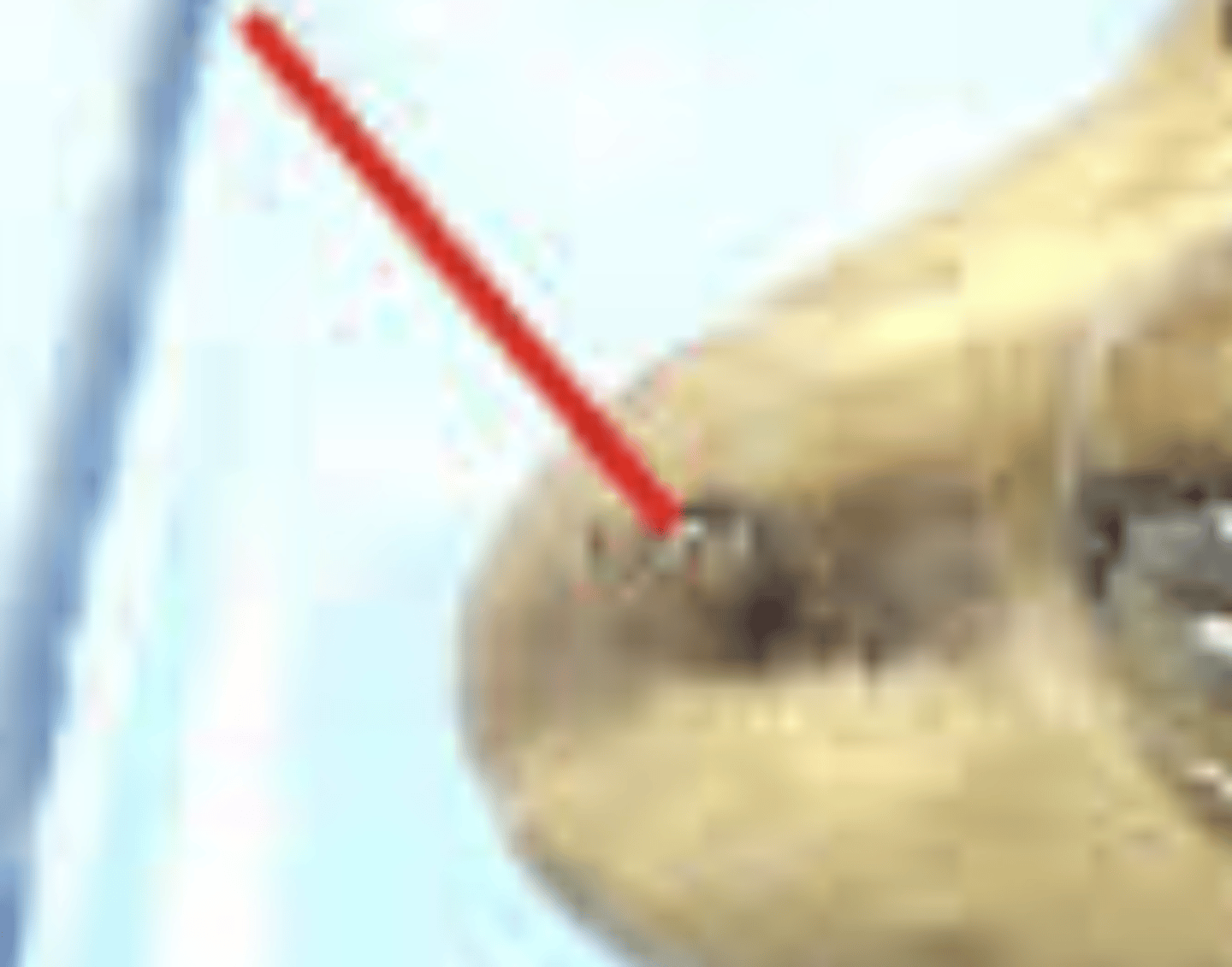 <p>Passageway for air to enter nasal cavity for respiration — Pair of openings on dorsum of snout</p>