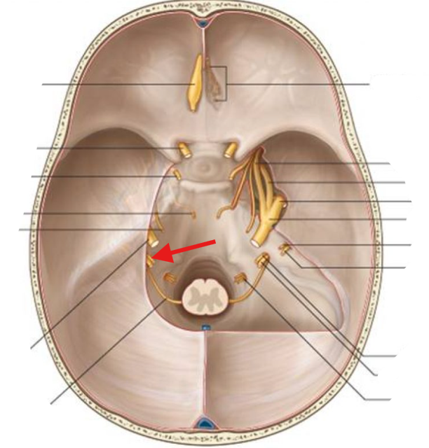<p>What is this structure?</p>