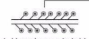 <p>if 2 strands species DNA have a probe attached to it, what type of hybrid is it?</p>