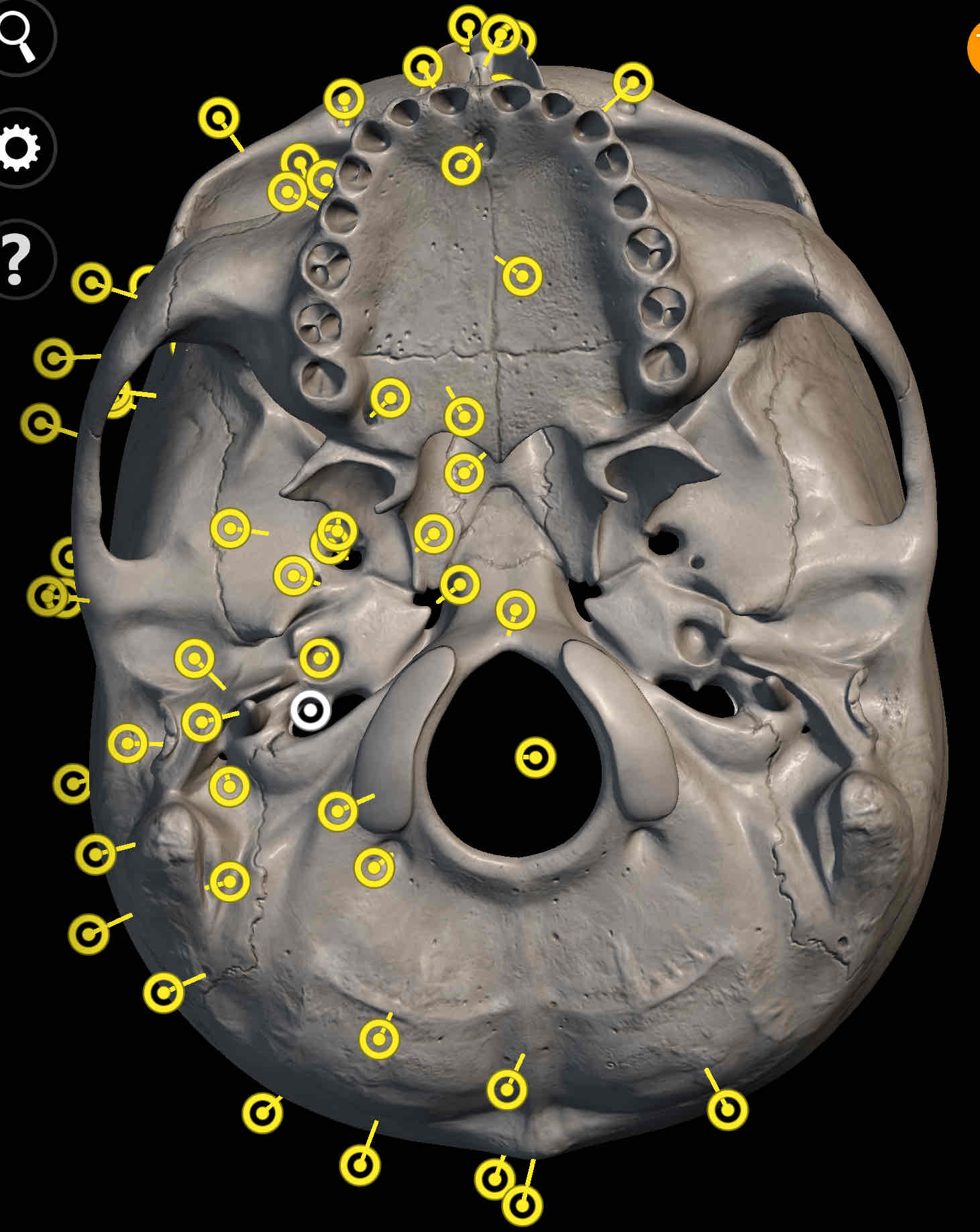 knowt flashcard image