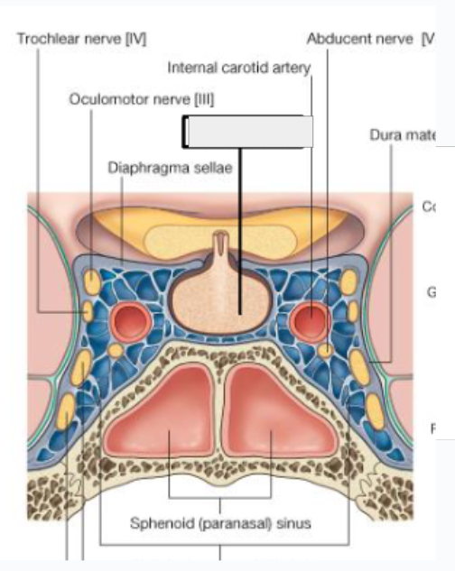 <p>what structure is that?</p>