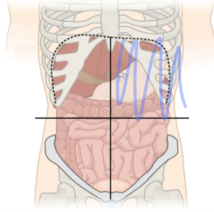 <p>what is the shaded region called?</p>