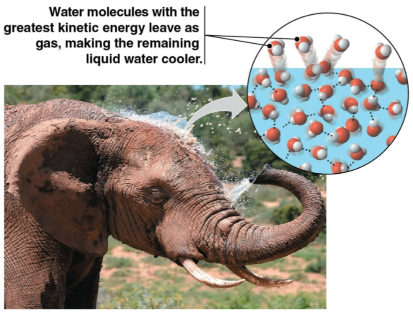 <p>Evaporative cooling</p>