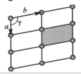 <p>oblique</p>