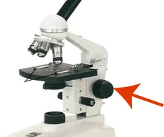 <p>what apart of the microscope is this</p>