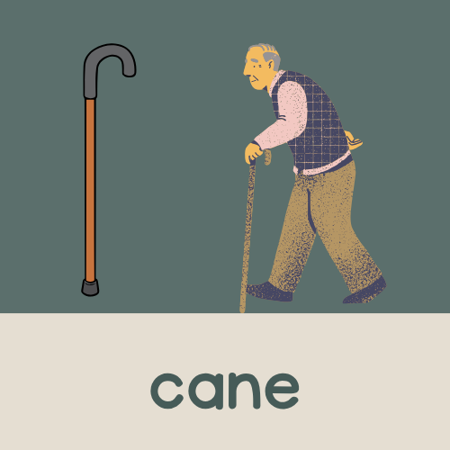 <p>cane</p>