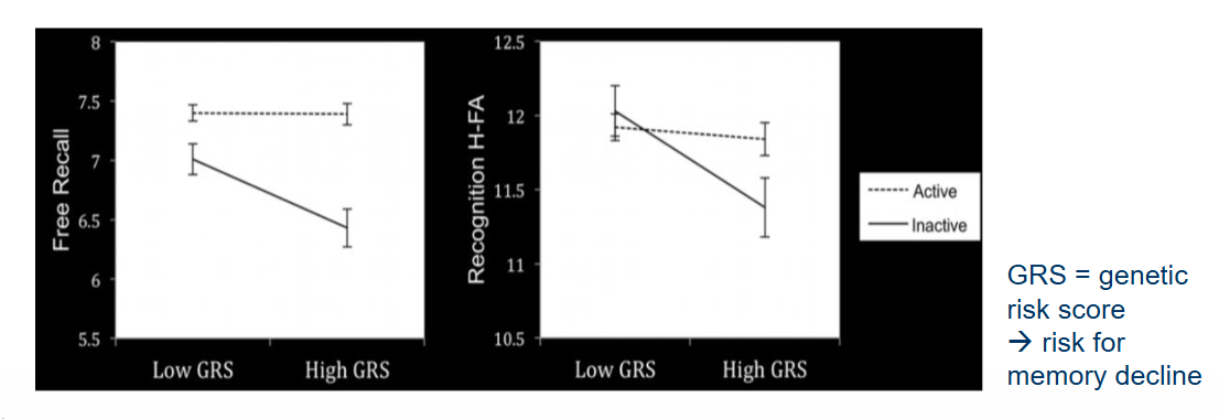 <p>Environment-sensitive genes: Gene expression can be changed by environmental influences across the lifespan. </p><ul><li><p>Ex. Physical activity counteracts genetic risk for memory decline in old age. </p></li></ul><p></p>