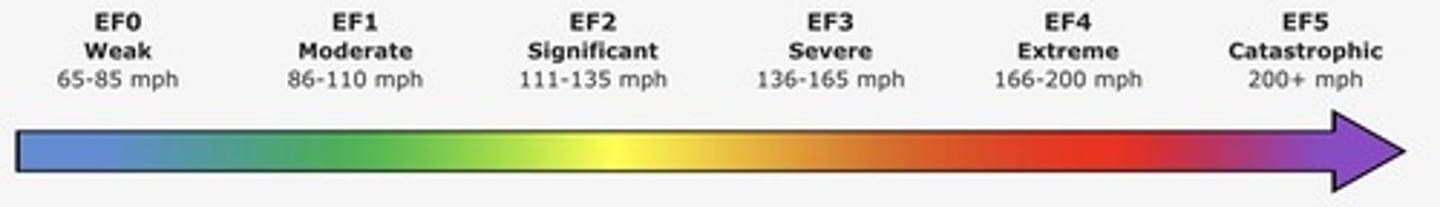 <p>Attempts to provide a wide range of criteria in estimating a tornado's winds by using a set of 28 damage indicators.</p>