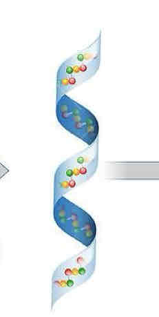 <p>What is this in the protein structures?</p>