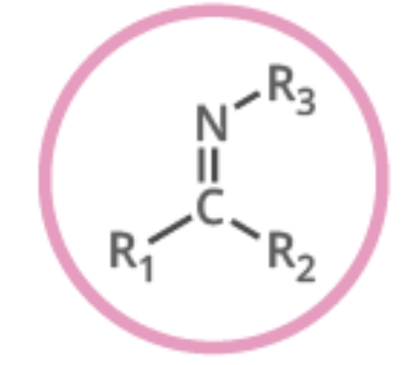 <ul><li><p>Nitrogen based </p></li><li><p>Naming -imine </p></li></ul><p></p>
