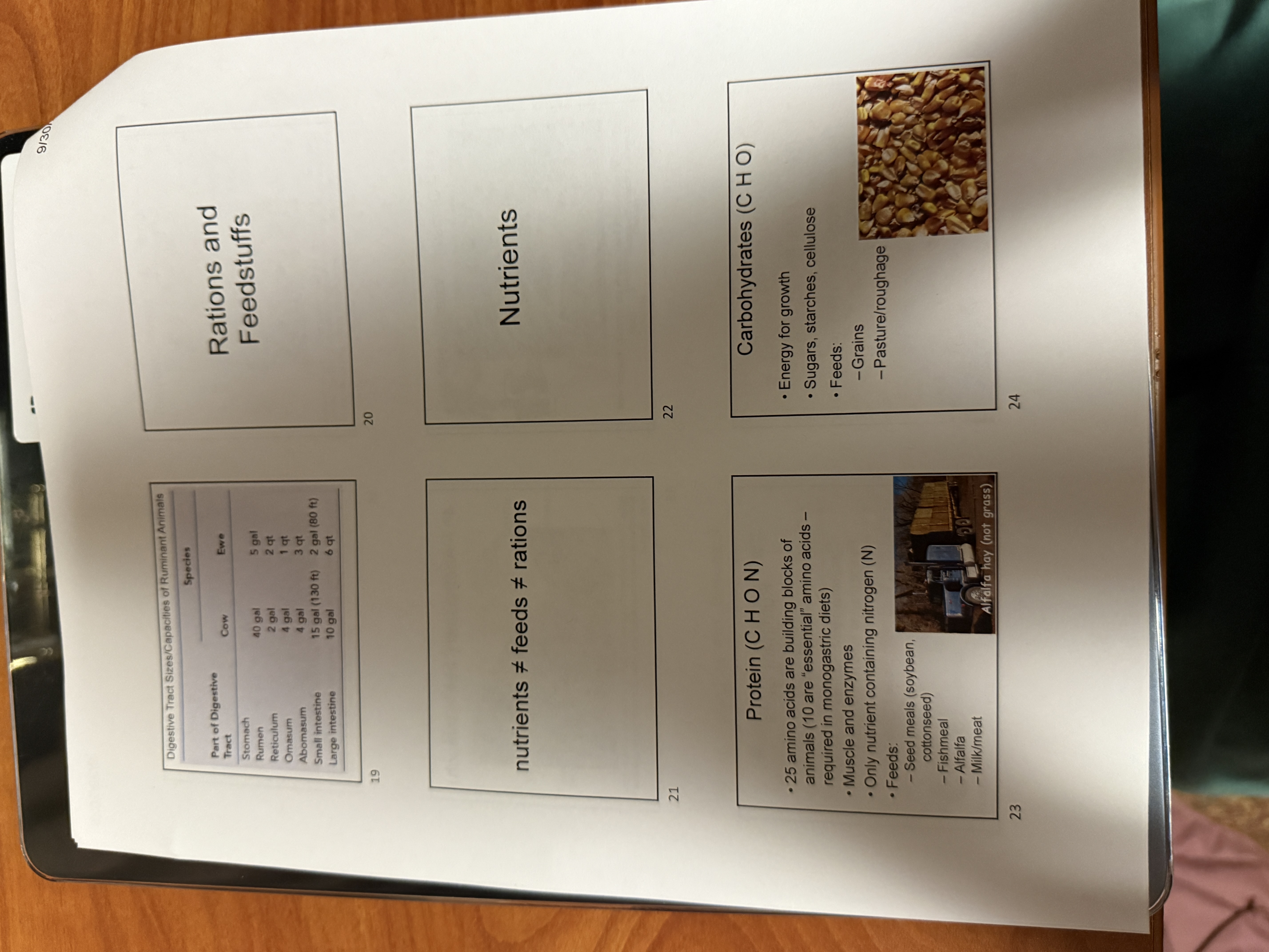 knowt flashcard image